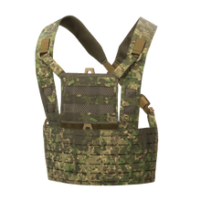 Load image into Gallery viewer, Direct Action Typhoon Chest Rig